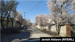 Баткен. Иллюстрациялык сүрөт.