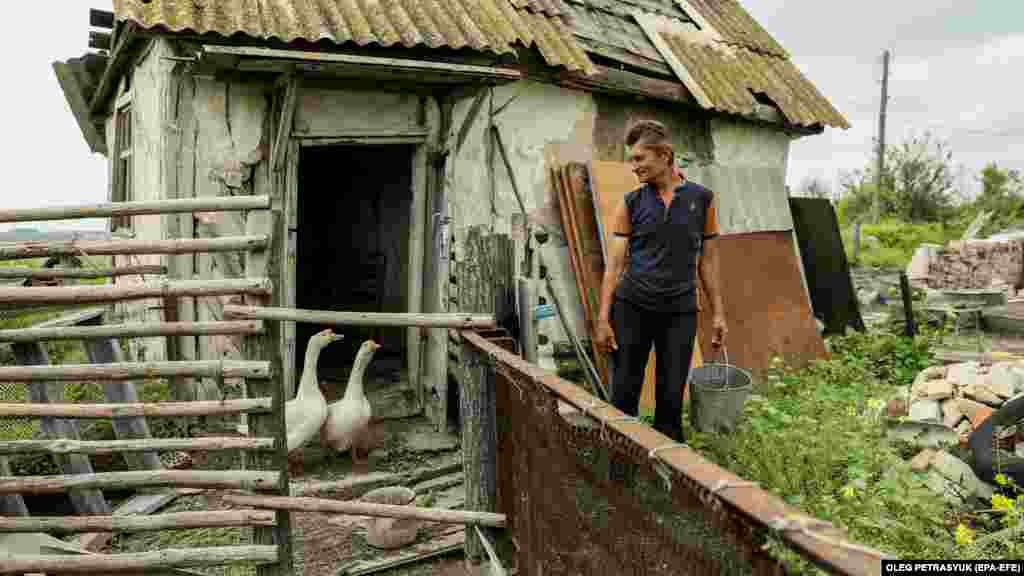 Nikola verifică cele două gâște care aparțineau înainte familiei fratelui său. El își petrece cea mai mare parte a timpului căutând materiale pentru a-și repara casa. „Am nevoie de materiale de construcție și unelte, dar nu vreau să le adun din casa distrusă a cuiva”, spune el. 