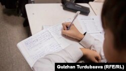 Кыргызстандагы мектеп окуучуларынын бири. Иллюстрациялык сүрөт.