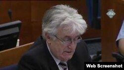 Radovan Karadžić pred sudom u Hagu, 28. veljače 2011.