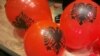 Slika 16x9