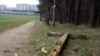 Image result for хільчук