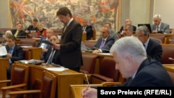 Rasprava u Skupštini o izmjenama Ustava Crne Gore, jul 2011 - ilustracija
