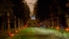Image result for Макаў