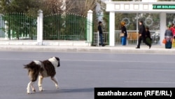 Ашхабад