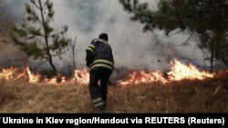 Пожежник гасить вогонь всередині 30-кілометрової зони довкола Чорнобильської АЕС, 17 квітня 2020 року