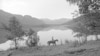 16x9 Image