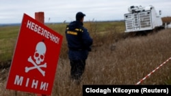 Правоохоронці закликали людей уникати відвідування лісосмуг, районів, де велися активні бойові дії, ілюстративне фото