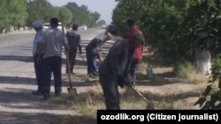Prezident tashrifi oldidan "hashar"ga chiqqan jarqo‘rg‘onlik ishchilar.