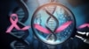 Бишкекте ракты аныктай турган жаңы лаборатория ачылды 