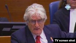 Srpski ratni vođa Radovan Karadžić na suđenju u Hagu, arhivska fotografija in the Hague, 11Oct2010