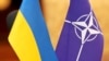 Чого хоче Україна від НАТО?