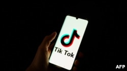 Суд постановив, що закон не порушує права на свободу слова