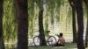 În imagine, un tânăr se protejează de razele solare, la umbră, lângă lacul Alexandru Ioan Cuza din București.