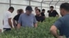 Armenia - A flower greenhouse in Armavir province, July 11, 2025.